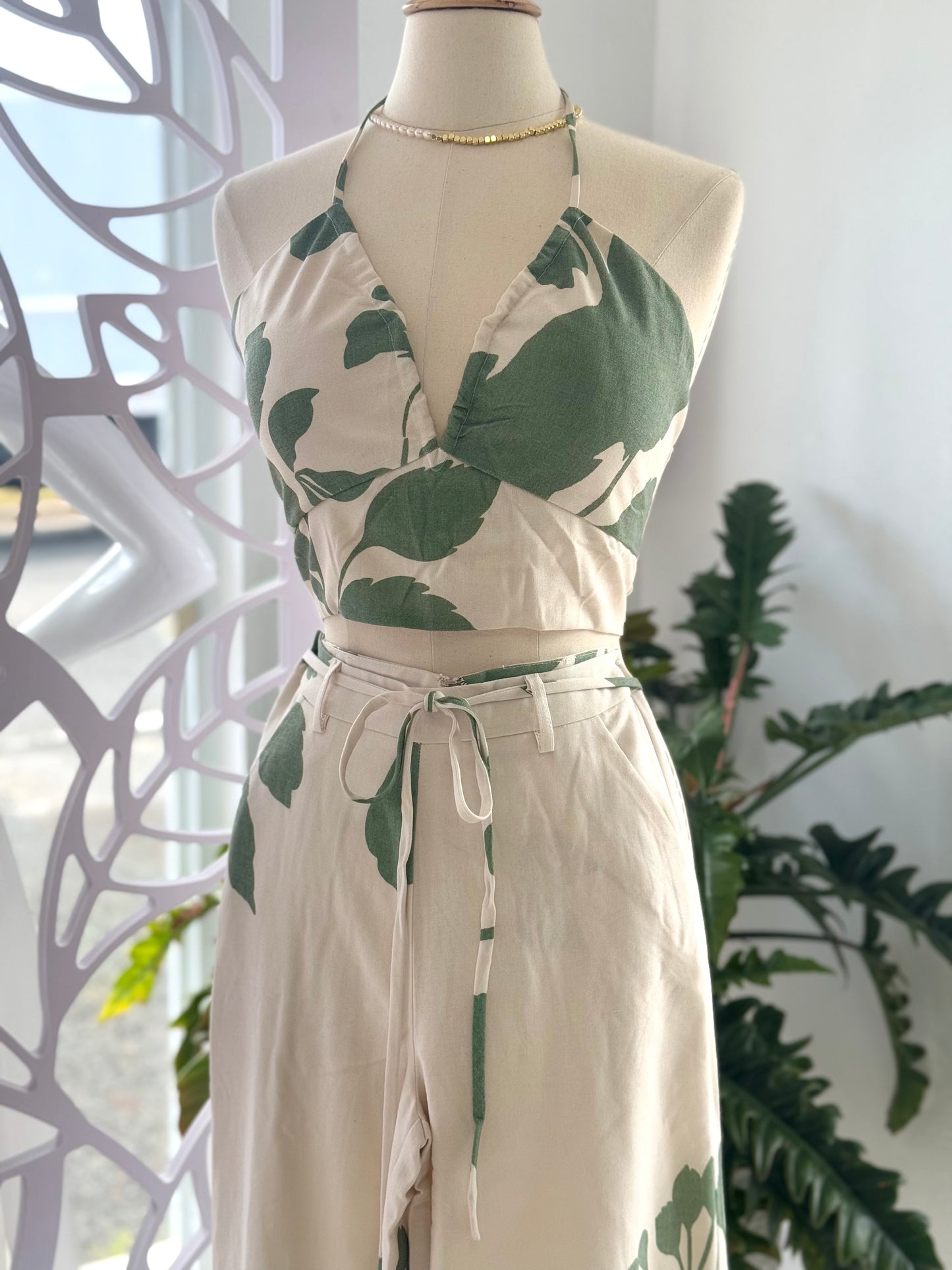 Salvia Nature Set